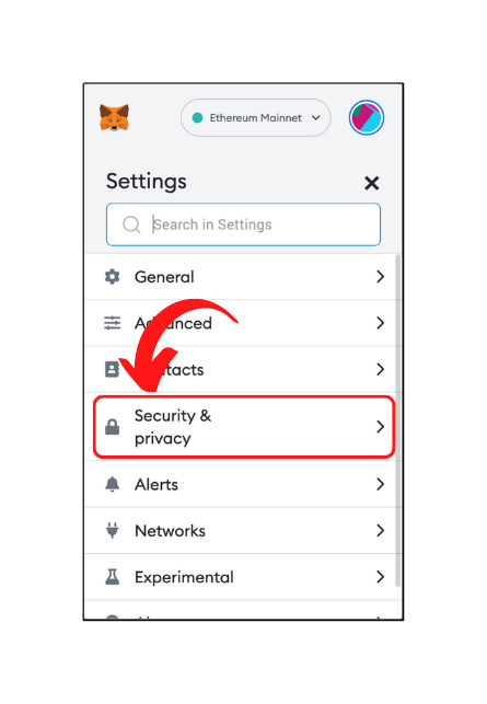 Security & Privacy settings in MetaMask extension