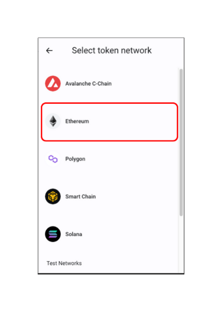 Selecting network to add a custom token in Trust wallet