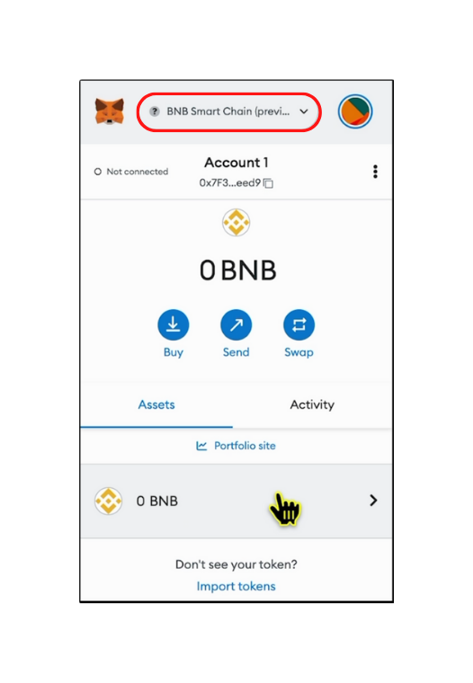 A screenshot of metamask browser extension showing the BNB tokens homescreen