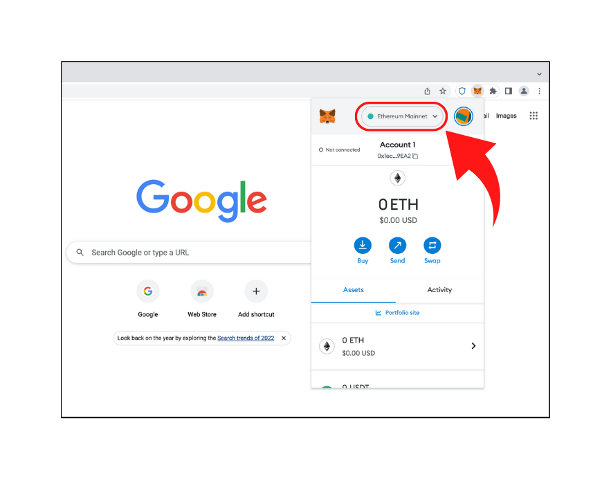 Networks section in Metamask browser extension