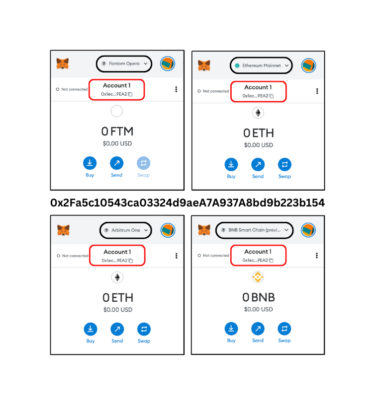 Same metamask address on different networks in MetaMask